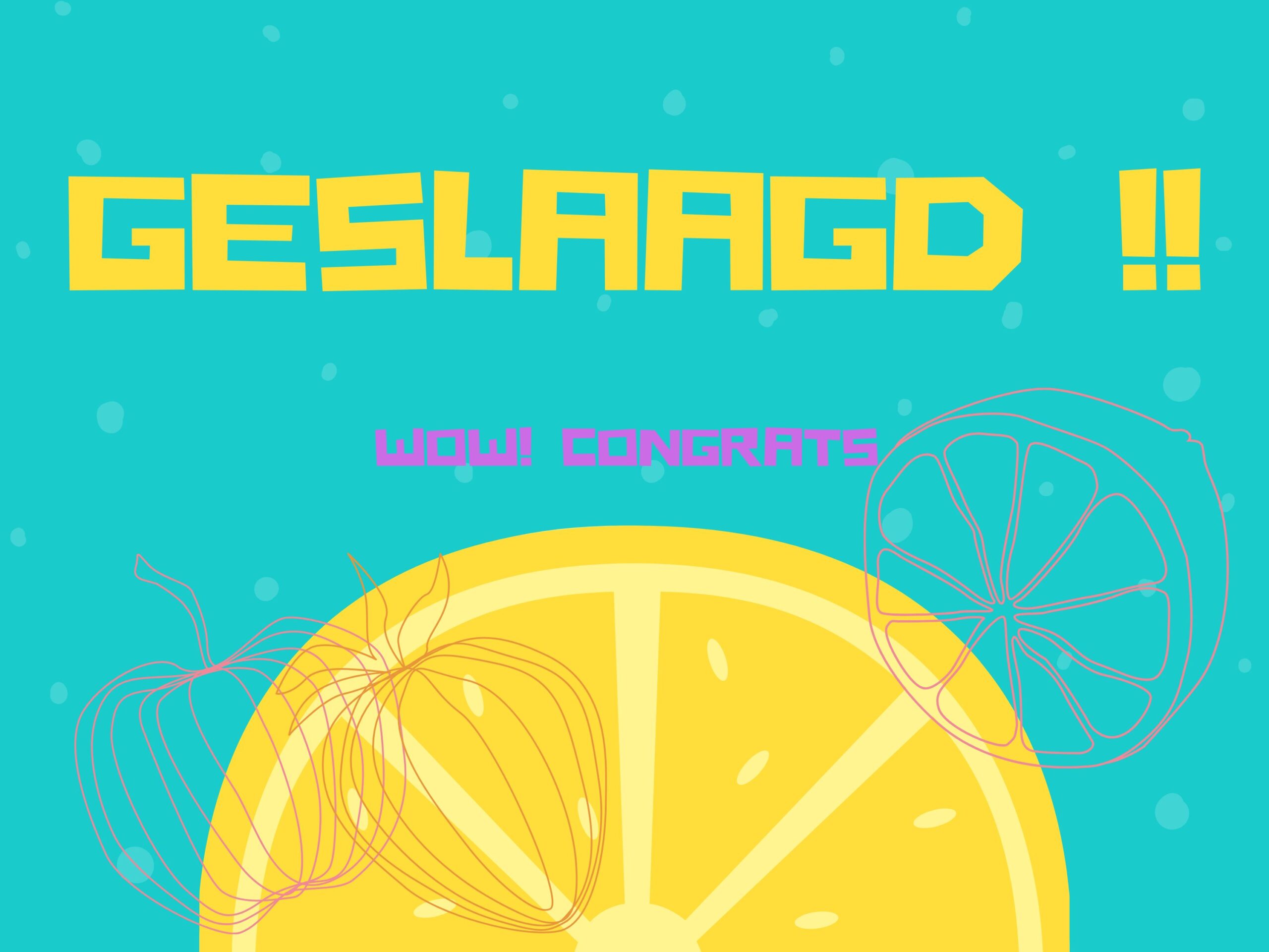 Goois Lyceum geslaagd 2025